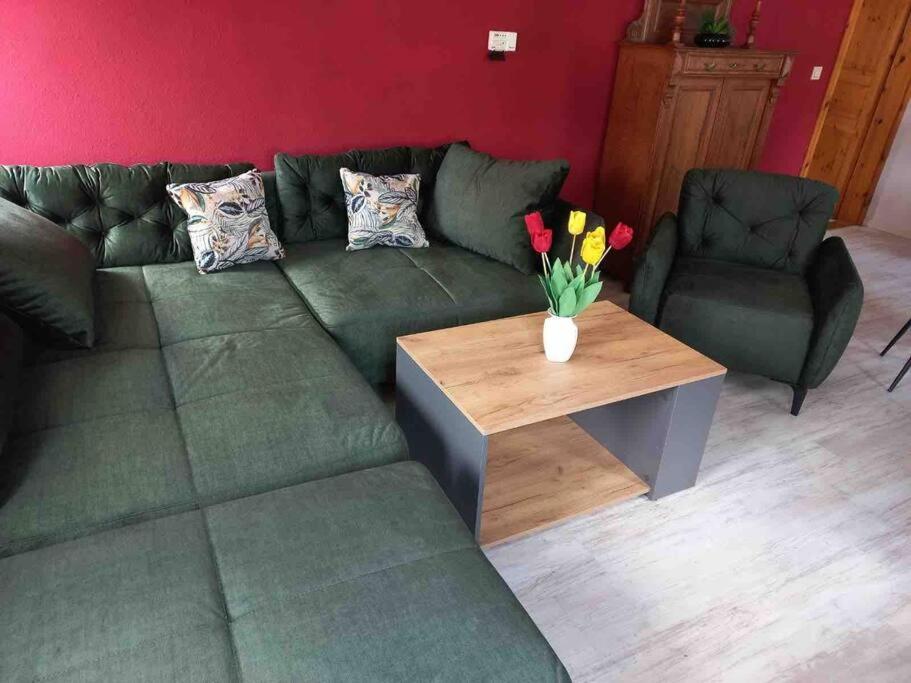 Maisonette-Fewo Fritz Mit Infrarotsauna Grossschoenau Luaran gambar