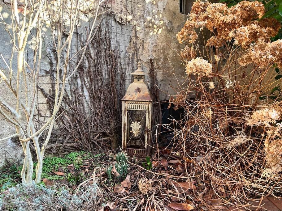 Maisonette-Fewo Fritz Mit Infrarotsauna Grossschoenau Luaran gambar